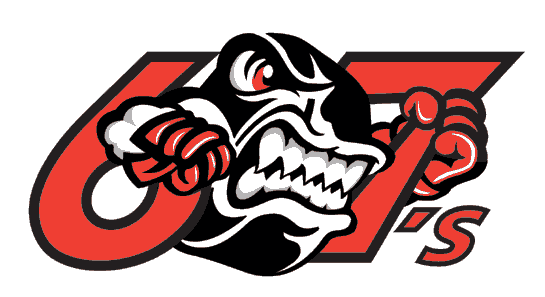 Ottawa 67s 1998 -2007 alternate logo iron on transfers for T-shirts